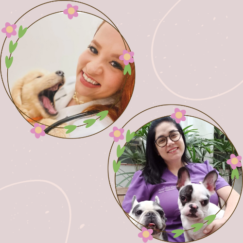 Retratos da equipe divulgados no site oficial