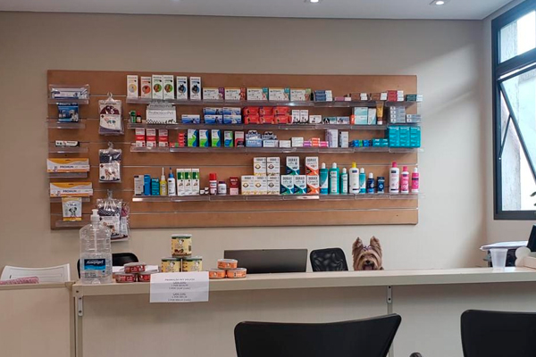 Recepção da Pet a Vet, com balcão, cadeiras e prateleira de produtos para animais.